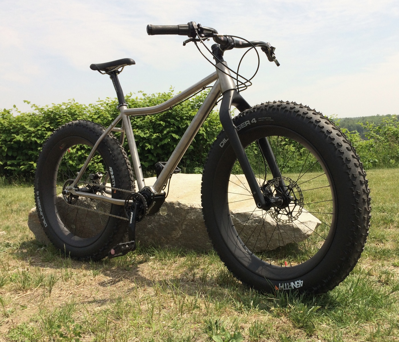 Pinion Gearbox Fatbike by Carver
